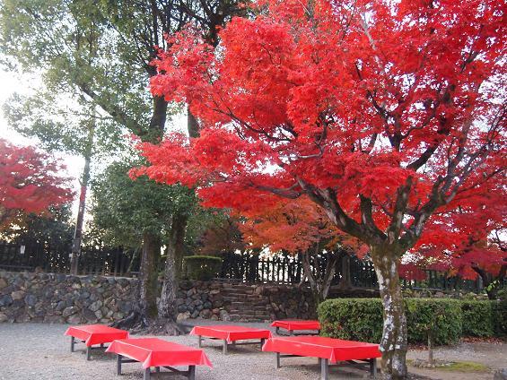 犬山城の紅葉