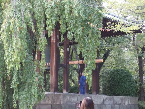 ちょうど5時の鐘を聞くことができました。増上寺の鐘はとても巨大で、力持ちじゃないと突けません。動画をごらんください。