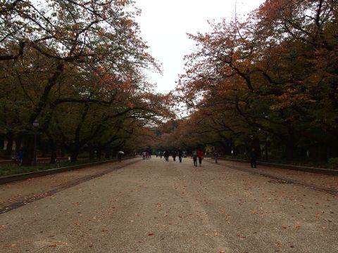 紅葉に染まる上野公園