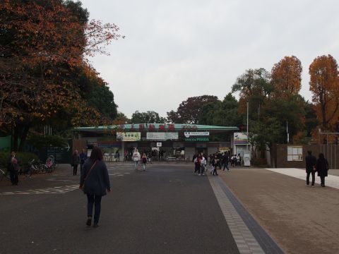 平日の上野動物園