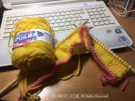 Knitting180129p900-IIMG_5555.jpg
