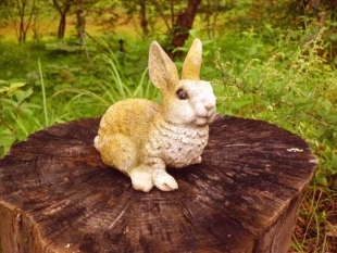 17_rabbit.jpg