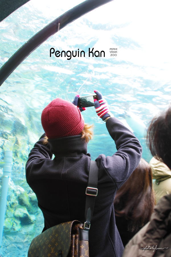 ペンギン館水中ドーム１－１