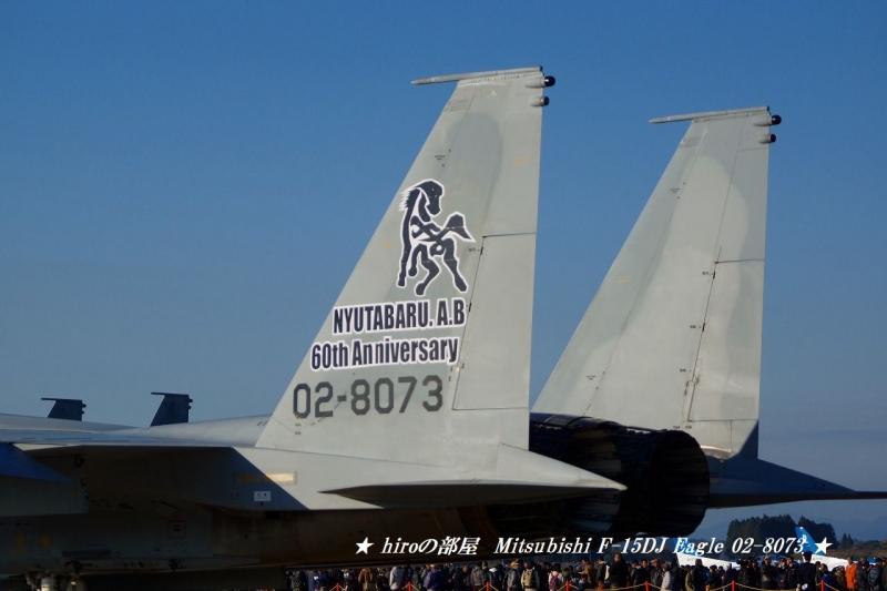 hiroの部屋 航空自衛隊新田原基地 JASDF Mitsubishi F-15DJ Eagle 02-8073