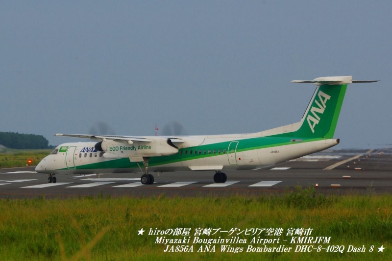 hiroの部屋　宮崎ブーゲンビリア空港 宮崎市 Miyazaki Bougainvillea Airport - KMIRJFM　JA856A ANA Wings Bombardier DHC-8-402Q Dash 8