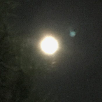 moon2018_1.jpg