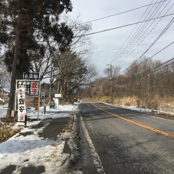 春コレ2018 クリスマスローズ 県道17号線 栃木県那須町 コピスガーデン
