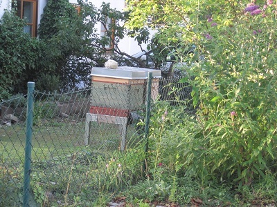 夏中この位置にあったミツバチの箱もそろそろ位階のベランダに引き上げるｋせつです。