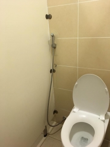ハノイ空港のトイレはシャワー付き