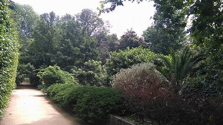 ポルトの植物園