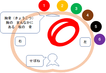 看護師が やさしい日本語 を 学ぶ ブログ 労働法