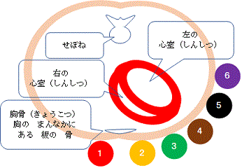 看護師が やさしい日本語 を 学ぶ ブログ 労働法
