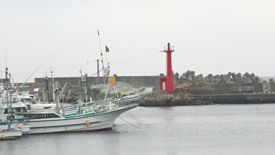 須崎漁港