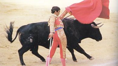 スペインの闘牛