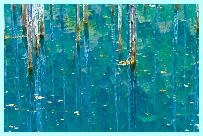自然湖：青に染まる (800x526)