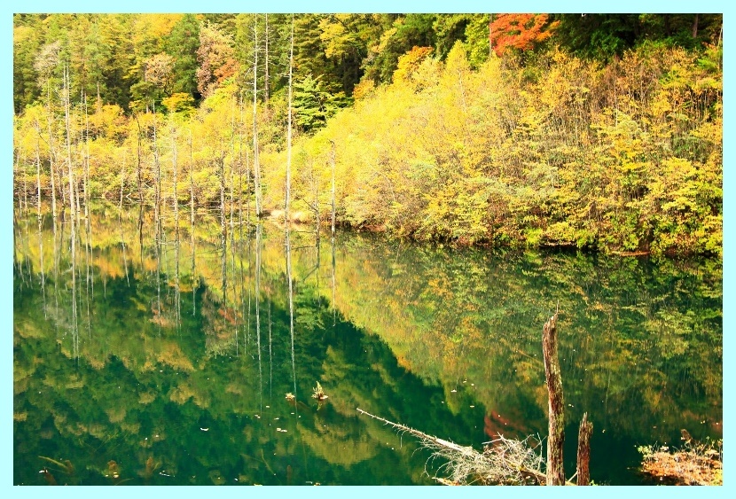 自然湖：紅葉に染まる (800x533)